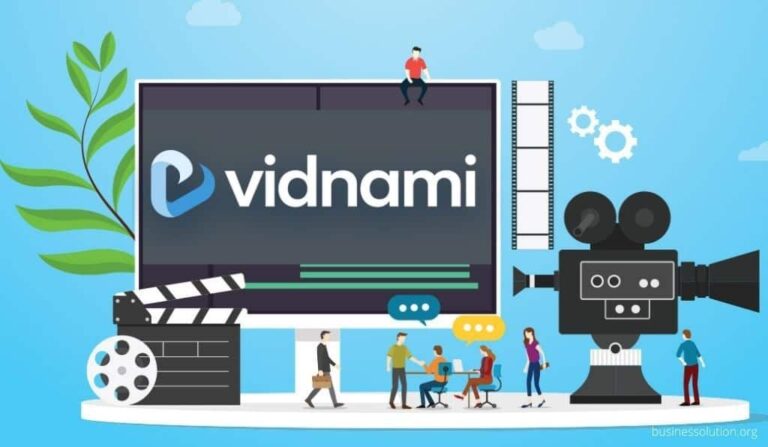 Vidnami-Review